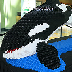 Canuck Place Orca